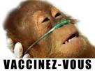 orang-vous-respiratoire-zoom-propagande-orangutan-politic-oxygene-19-vaccinez-covid-singe-coronavirus-outan