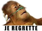 coronavirus-orang-propagande-covid-je-orangutan-singe-oxygene-outan-regrette-vaccinez-respiratoire-19-vous-politic