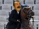 rire-horse-abbatoire-risitas-larme-fou-cheval-equitation-jo-allemande-findus
