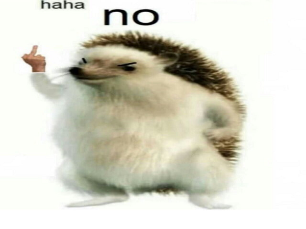 herisson haha prespic fuck rire non