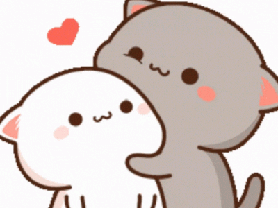 chaton mignon gif chou