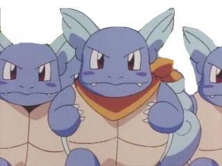 wartortle carabaffe risitas pokemon