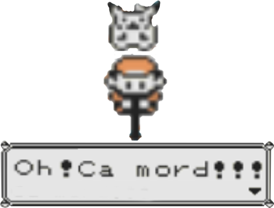 ca mord canne pokemon jvc peche