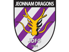 asie-club-coree-jeonnam-dragons-football-foot-logo-other
