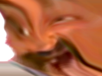 deforme zinzin risitas aya