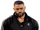 lesnar504-roman-other-reigns