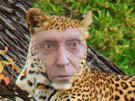 reemigration-vener-henry-leopard-other-prioritaire-lesquen-enerve-zoom