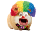 piggy-gruik-soyeux-perruquent-perruque-rongeur-adorable-creature-fantastique-dinde-cochon-mignon-incroyable-other-clown