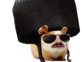 other soyeux streimel yaveh soleil mignon piggy gruik classique dinde lunettes chance adorable malchance religion rongeur cochon