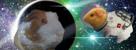 gruik-pesquet-pls-other-thomas-espace-decouverte-piggy-mignon-adorable-cochon-soyeux-rongeur-decouvreur-dinde-univers-astronaute