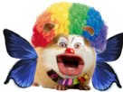 cochon-piggy-dinde-perruquent-clown-mignon-adorable-gruik-papillon-other-soyeux-rongeur