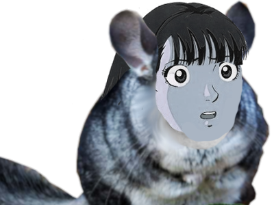 sticker kikoojap chefsticker chinchilla chinchuko obese couilles chef