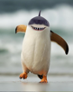 cryptozoo-pingouin-requin