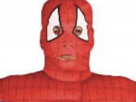 plus-marvel-ecoplus-other-spiderman-spider-eco-disney-rate-moche-costume-man