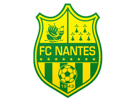 football-logo-nantes-foot-bretagne-other-club