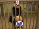 tf1u-panda-risitas-zoo-m6u-casquette