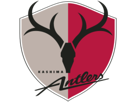 football-antlers-club-foot-other-japon-logo-kashima