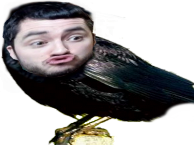 oiseau asterion corbeau kirby game brocante