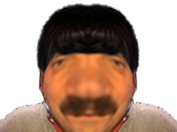 sele dilatax enfle risitas