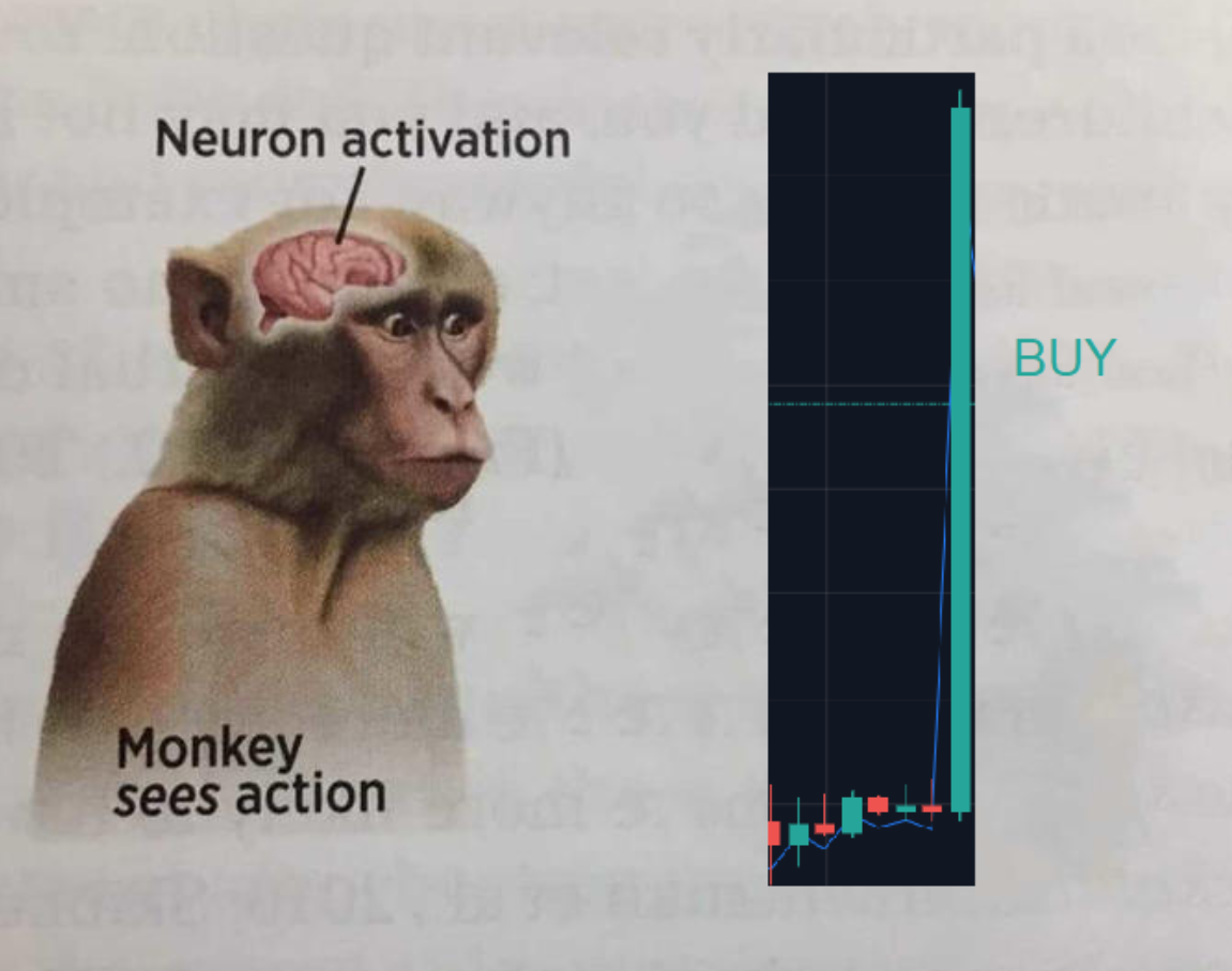 risitas crypto makake jvc