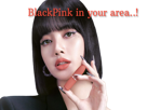 other-lisa-chanteuse-blackpink-coreenne-kikoocoree