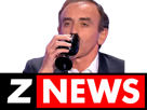 cnews-zemmour-znews-politic-2022