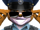 tinnova-kepi-sourire-mccloud-lunettes-dents-qlf-agent-police-policier-commissaire-gilbert-sunglasses-malin-assault-noires-quelafourrure-quelesfurries-starfox-fox