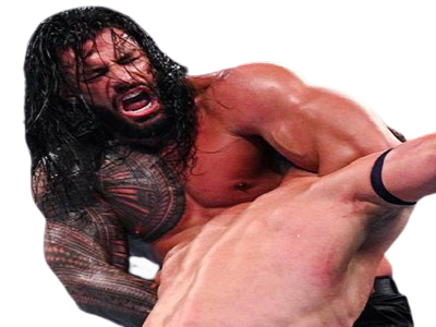 reigns roman lesnar504