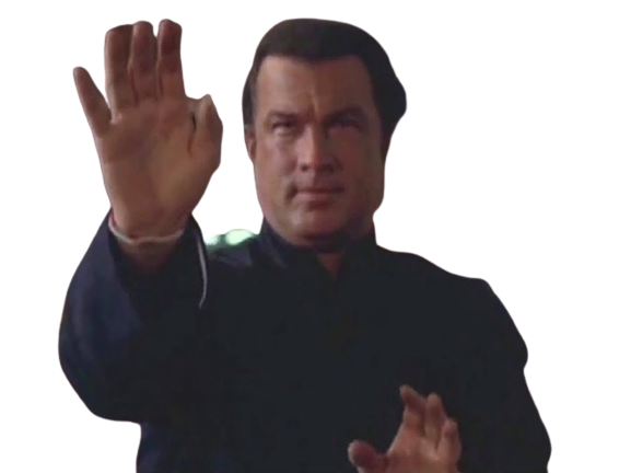 main fight seagal fu position steven kung