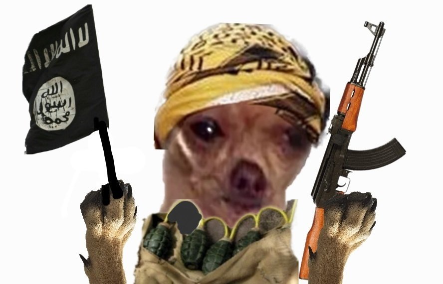 chien bombe triste risitas