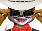 assault-quelesfurries-chapeau-fox-west-qlf-malin-sunglasses-lucky-americain-mccloud-lunettes-luke-duel-quelafourrure-tinnova-starfox-farwest-usa-cowboy-western-noires-far