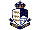 other-eland-coree-club-fc-seoul-football-logo-foot