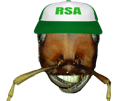 insecte-fourmiz-other-fourmis-emploi-branleur-rsa-casquette-fourmi-chomeur-pole