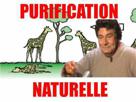 naturelle-selectionned-naturel-purifier-risitas-selection-jesus-purification