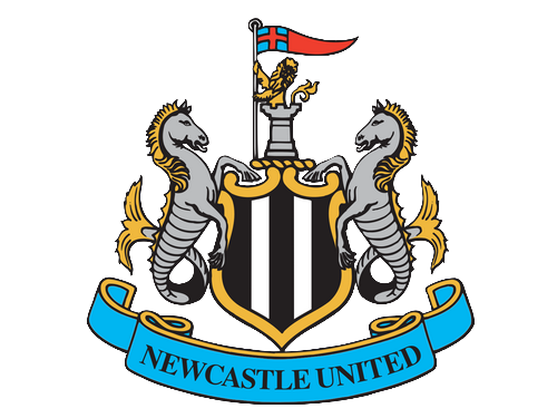risitas newcastle united ff football