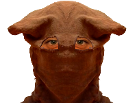 cagoule risitas touareg golem miroir