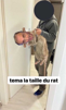 souris-risitas-juif-rat-taille-zemmour