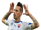football-hamsik-2021-slovaquie-euro-other-slovaque-foot
