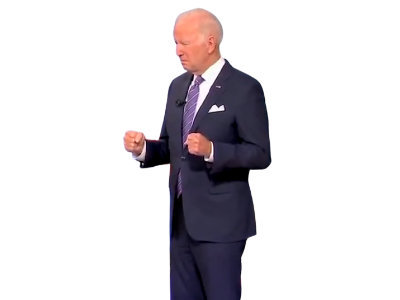 joe biden politic bug freeze lag