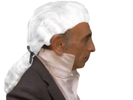 noble politic ronce zemmour perruque col eric duc drancy