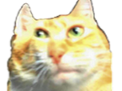 naturelle selection chat