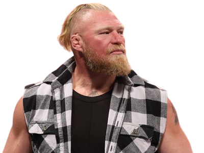 brock lesnar lesnar504