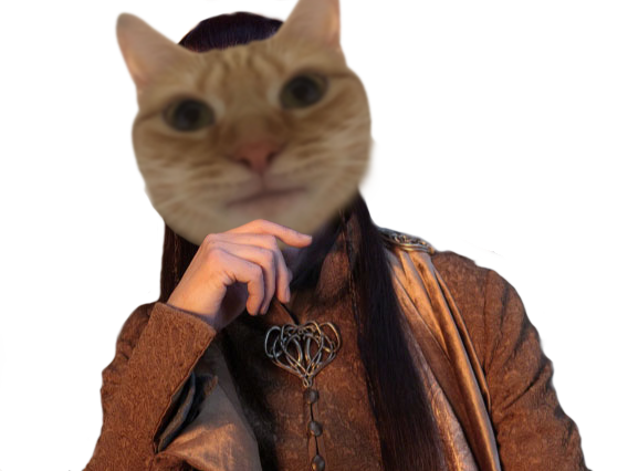 Sticker other elf miroir lotr sda etire chat elrond par Adelf-Hitlor