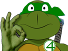 tortue-ninja-vert-4-other-nnn-regiment