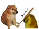 shitcoin-doge-bonk-dobo-other-dogebonk-binance-dog-crypto