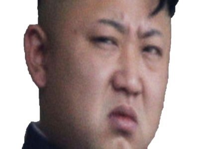hein politic dispose jong malaise un gros kim