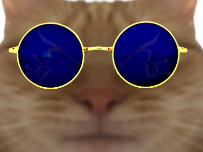 kikoojap miroir chaton zoom gros chat golem john plan tison bleues lunettes elton pnj