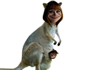 australie-kangourou-other-dearing-claire-clairedearing-kangaroo