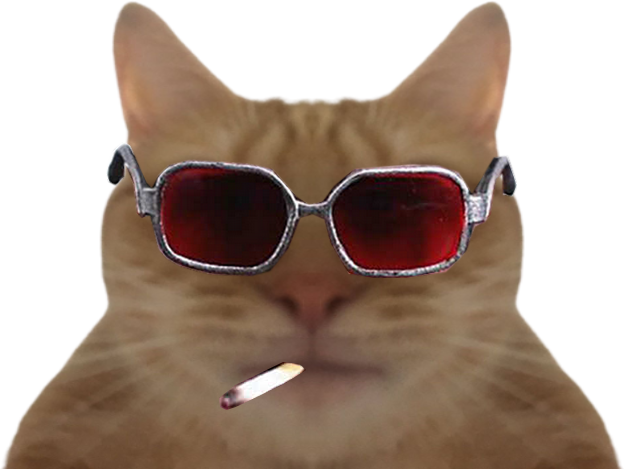 club chat fight tyler brad risitas