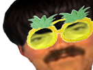 gelem-lunette-ananas-risitas
